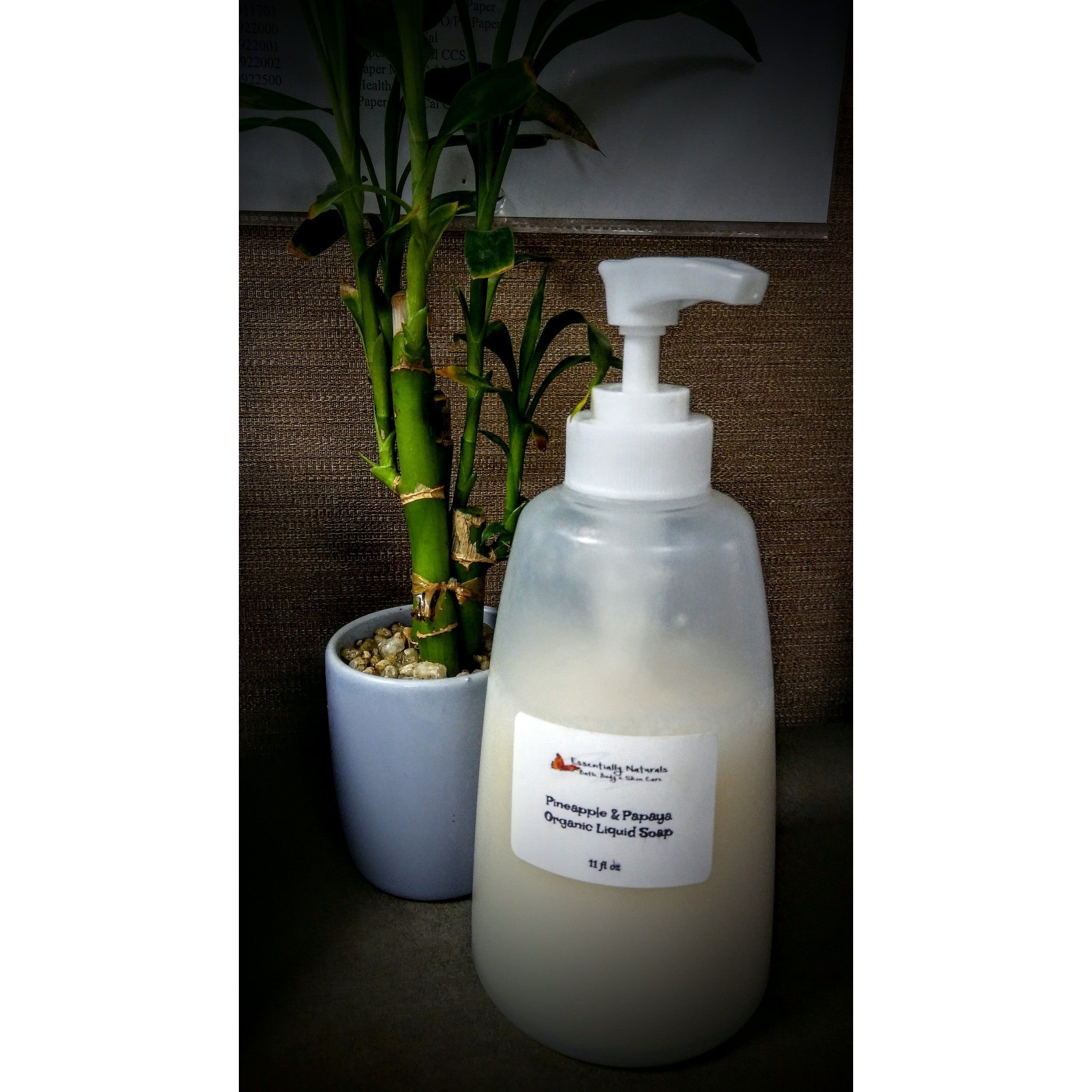  Foaming Hand Soap/Mens (Dude) : Beauty & Personal Care
